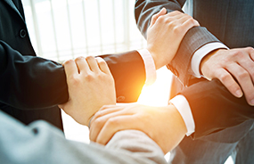 �����ϸ硤(�й�)���ֲ��ٷ���վ