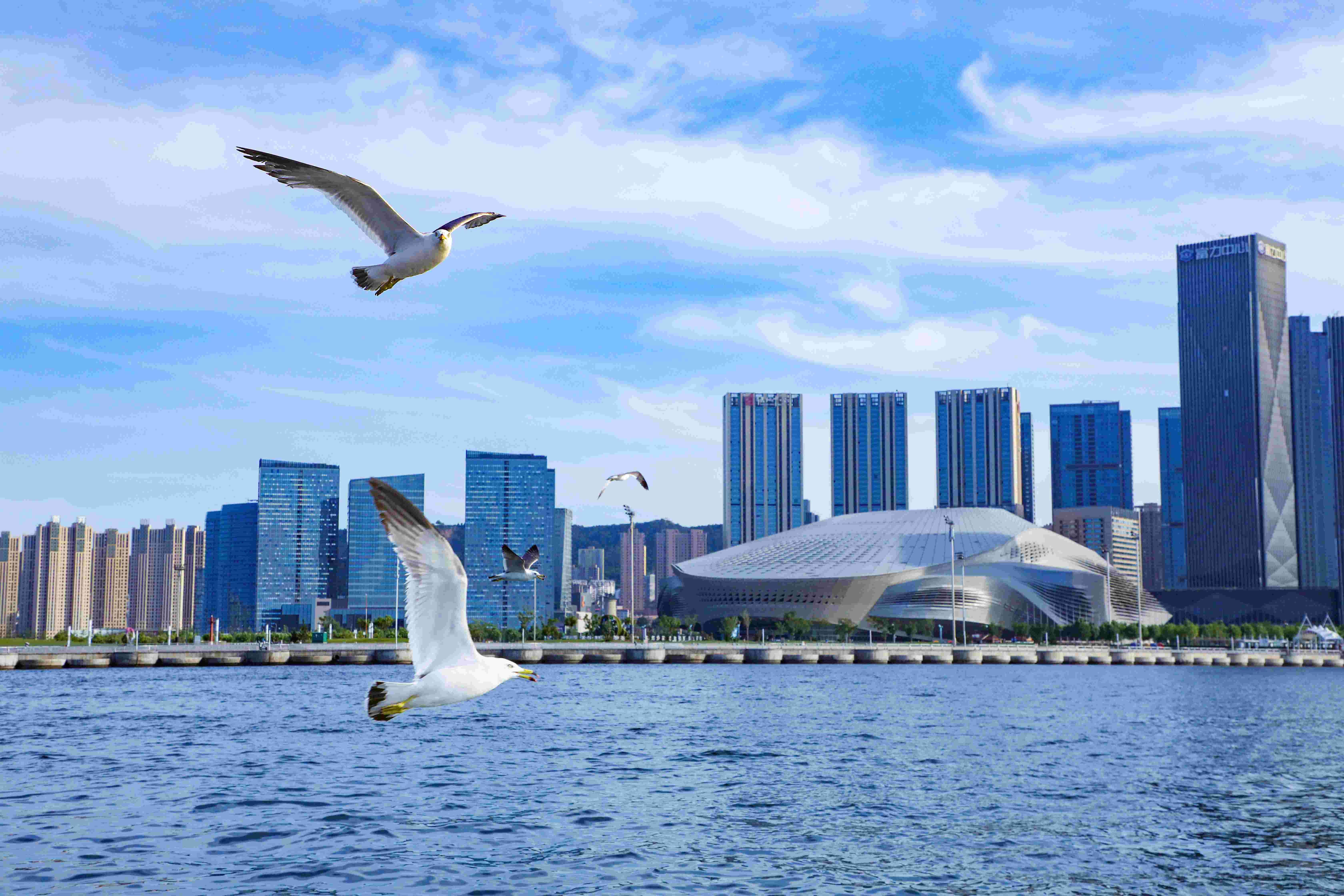 �����ϸ硤(�й�)���ֲ��ٷ���վ