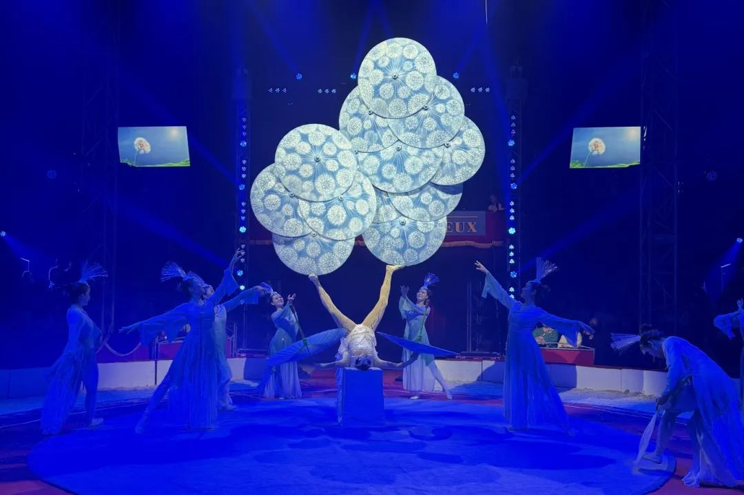 �����ϸ硤(�й�)���ֲ��ٷ���վ