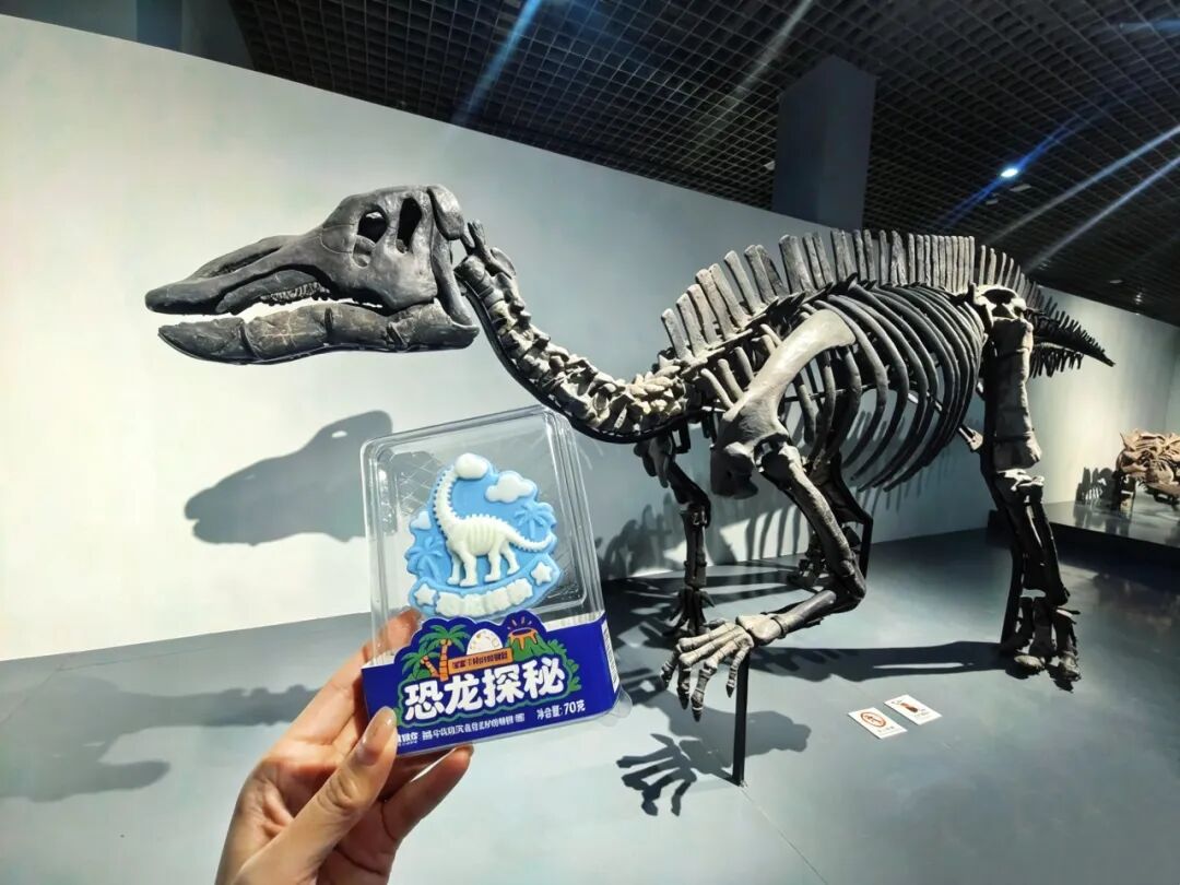 �����ϸ硤(�й�)���ֲ��ٷ���վ